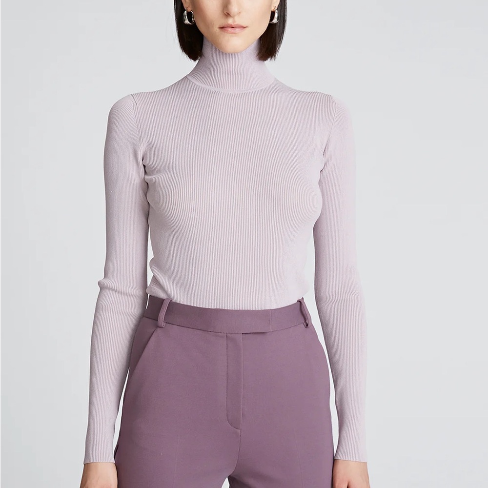 NWT Light Plum Halston “Ty” Turtleneck in Matte Viscose Sz Small